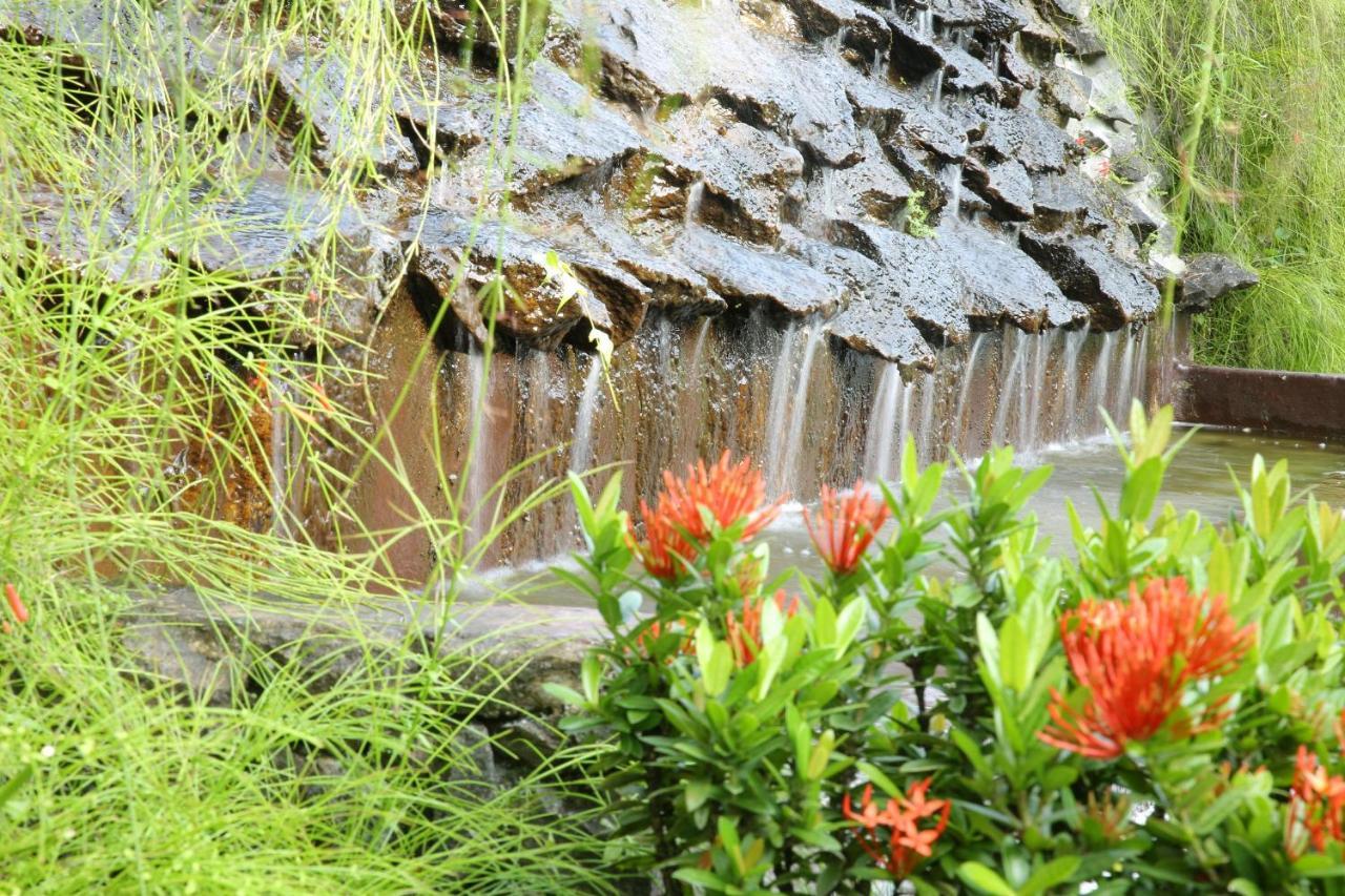 Ayurveda Centrum Lawrence Hill Paradise Hikkaduwa Exterior photo